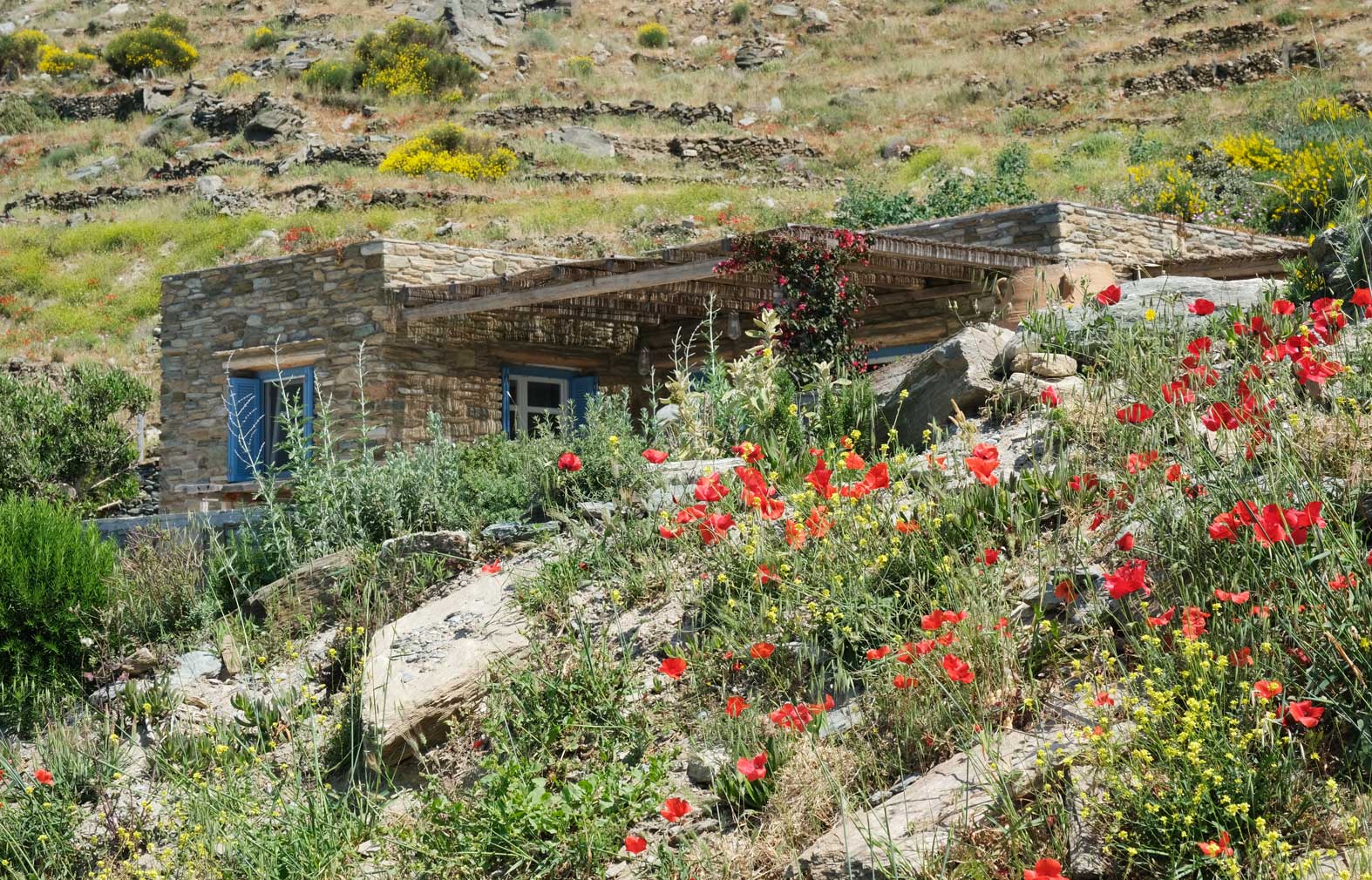 A steep and secluded dirt track leads to Mèlisses on Greece's Andros island – a rustic complex that looks as though it's been bedded into the clifftop for generations.