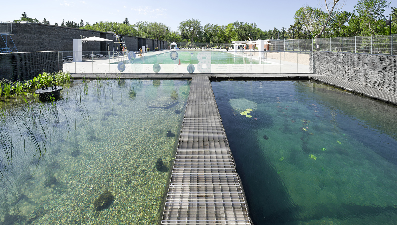 This 'living' swimming pool is a first in Canada designed by gh3