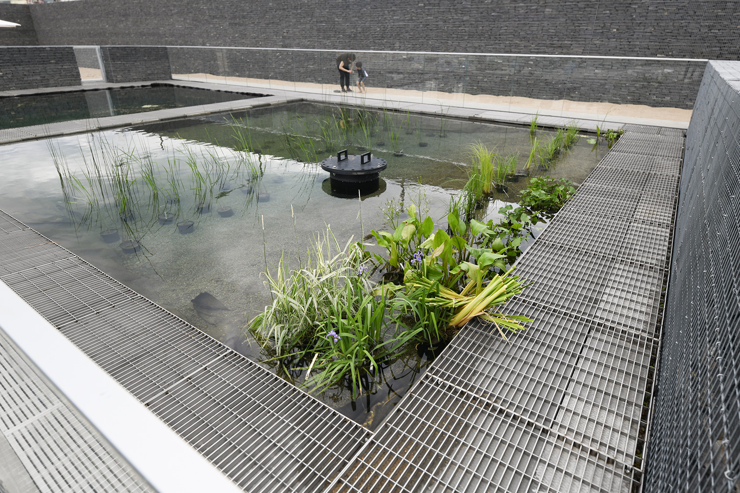 This 'living' swimming pool is a first in Canada designed by gh3