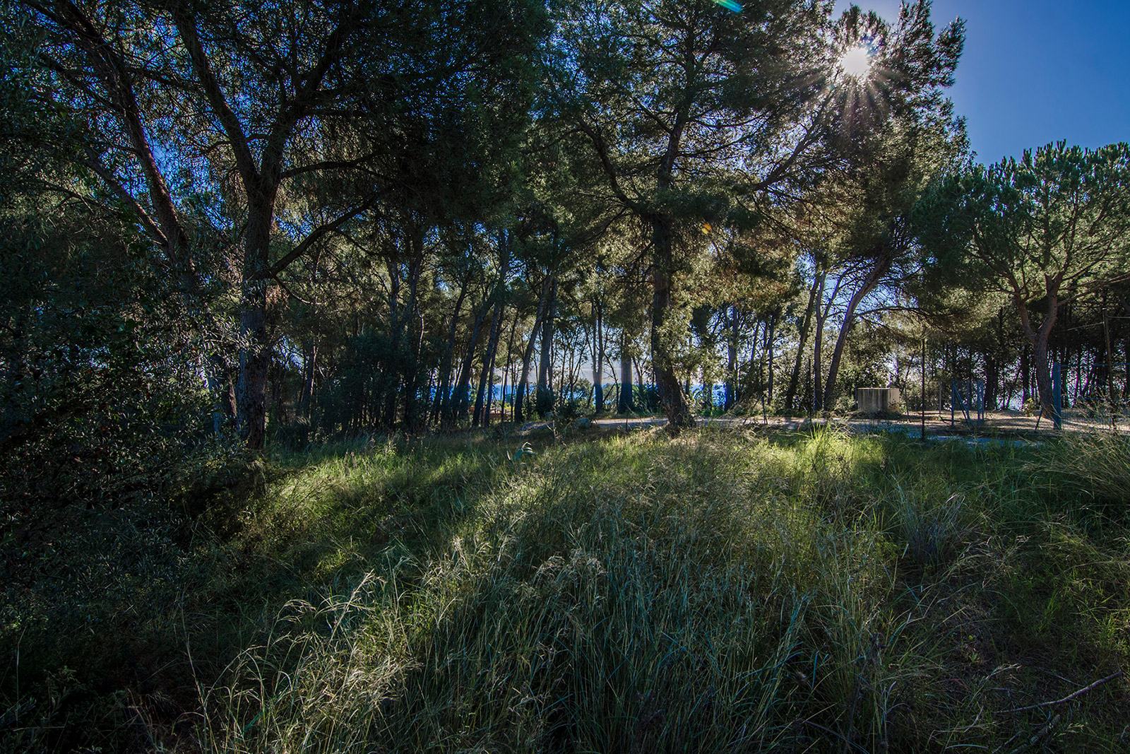 Plot of land for sale in Barcelona