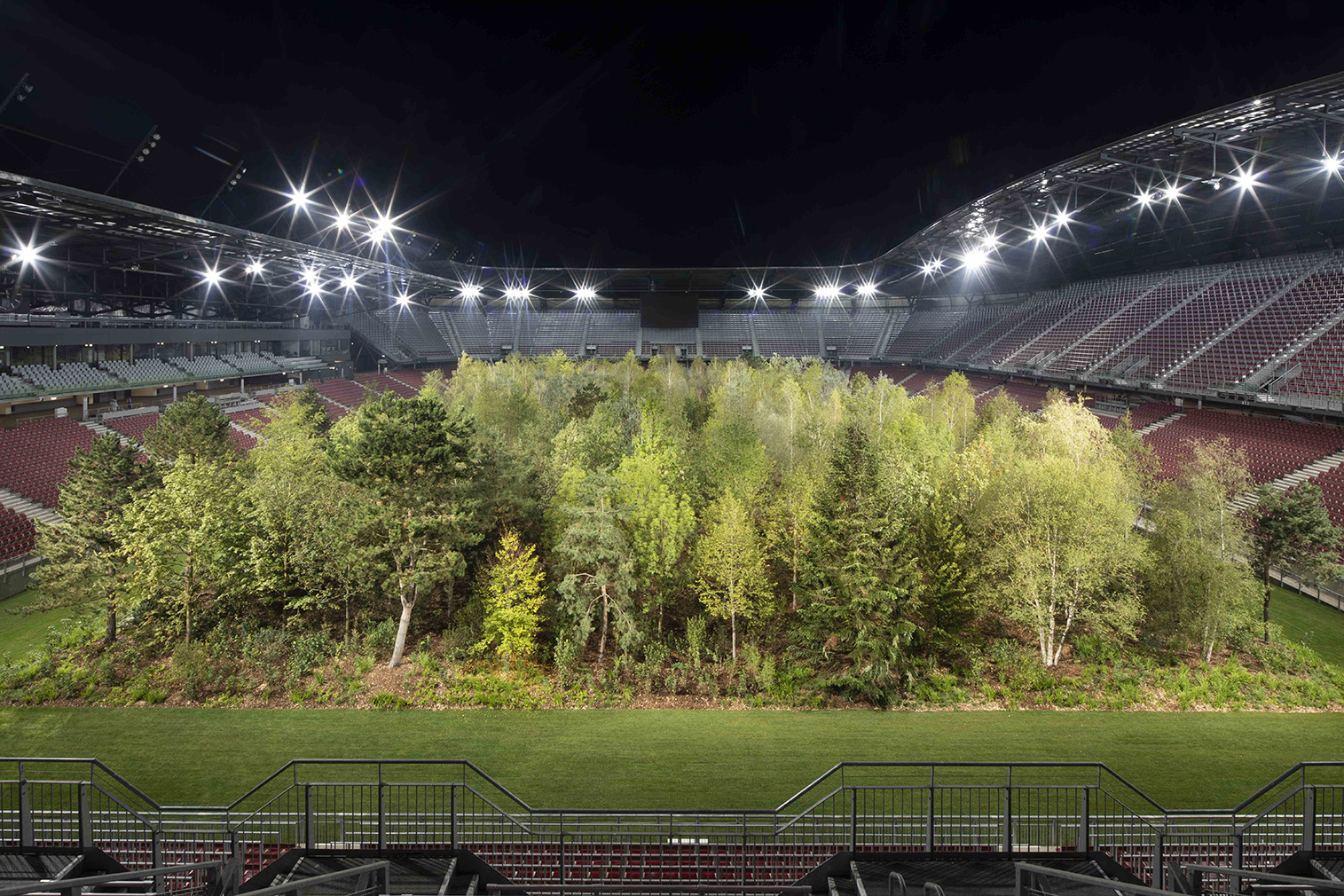 Artist Klaus Littmann fills an Austrian football stadium with 300 trees