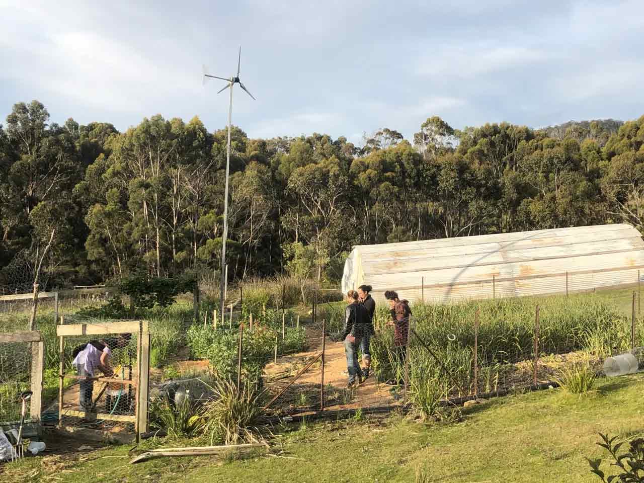 This Aussie shack is a forager’s paradise