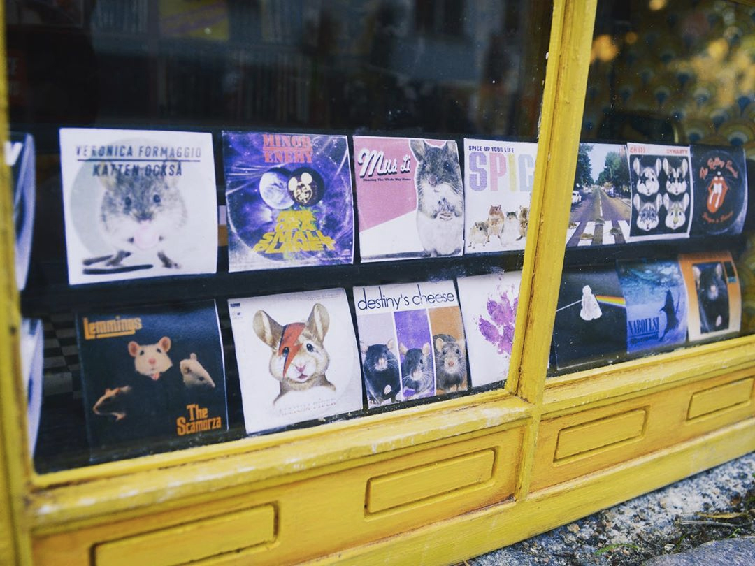 A miniature record shop for mice has opened in Sweden called Ricotta Records