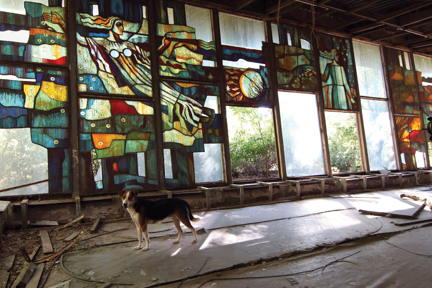 Pripyat Café. This building and its striking stained-glass windows are currently being preserved by a privately funded project. The city is still home to numerous stray dogs, descendents of pets left by evacuees, who are often fed by tourists. © Darmon Richter / FUEL Publishing