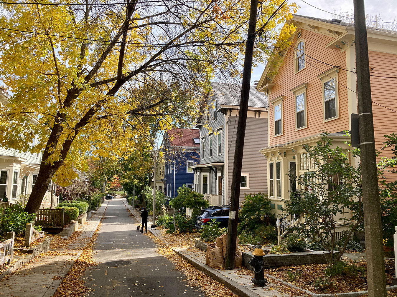 A street shot capturing the colourful houses of Jamaica Plain